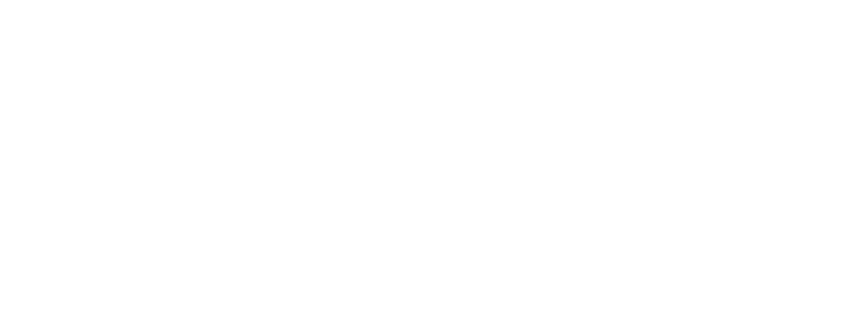 digital soul logo