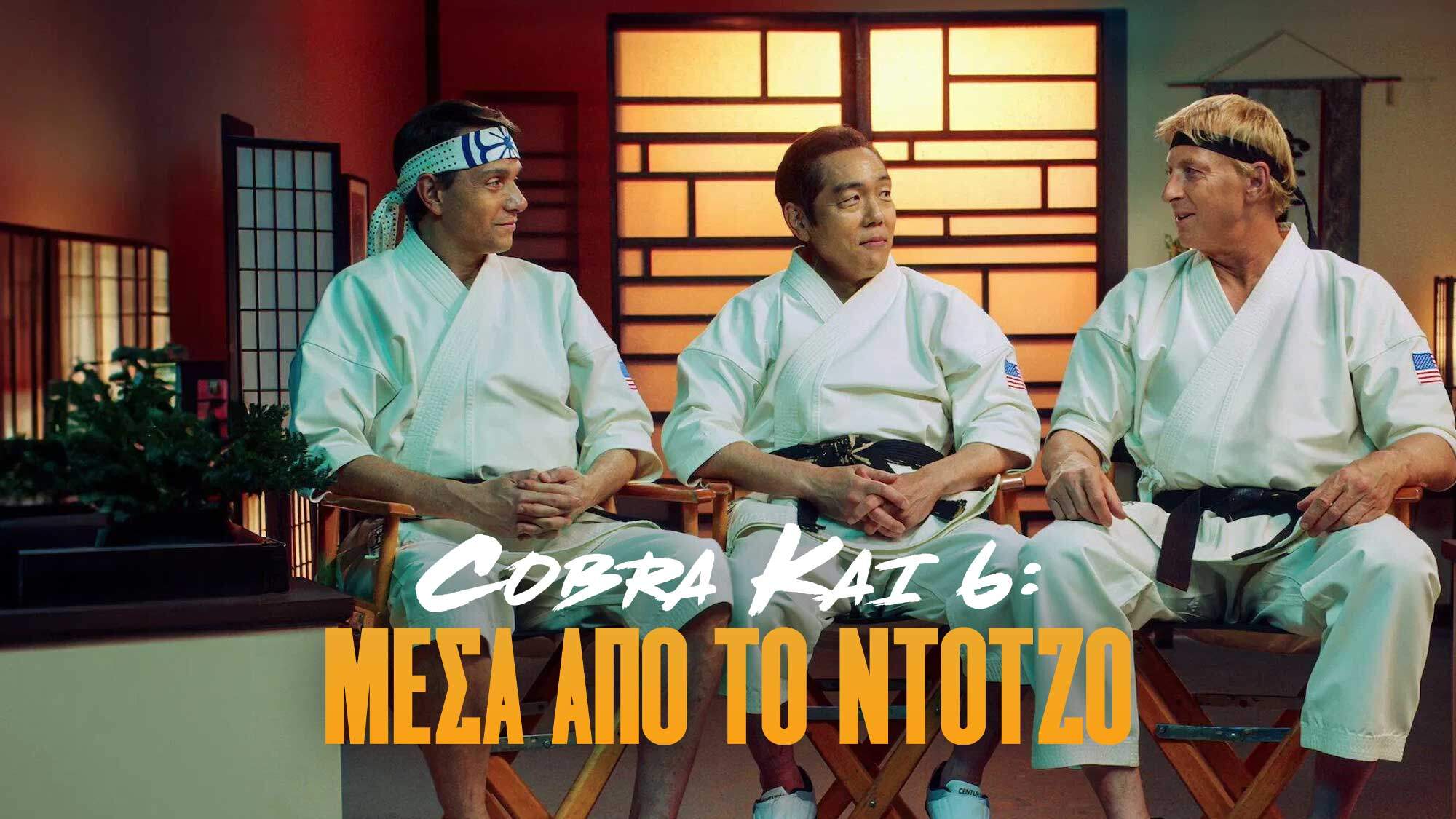 Cobra Kai greek poster for Netflix